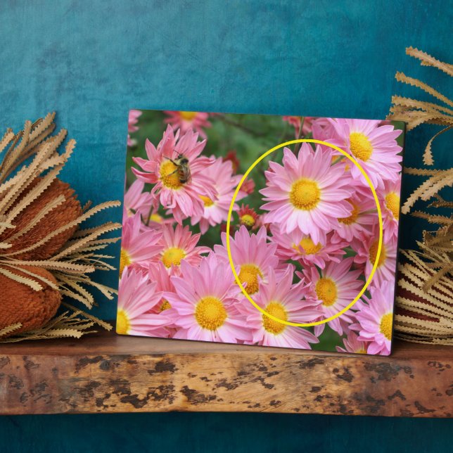 Daisy Blume und Hummel Biene hinzufügen Ihr eigene Fotoplatte (Seite)