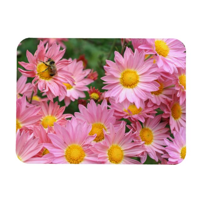 Daisy Blume und Hummelrahmen ergänzen Ihr Foto Magnet (Horizontal)