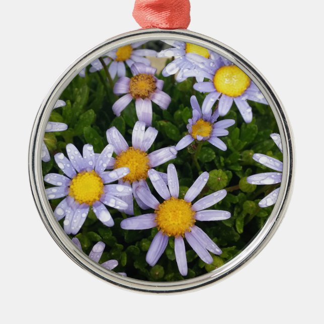 Daisy-Blume, weißgelbe Blume, Naturmilch Silbernes Ornament (Vorne)