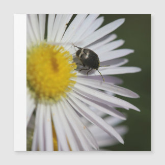 "Daisy & Bumblebee Puzzle - Kleine Harmonie der Na Magnetkarte