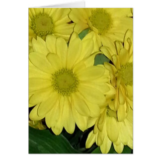 Daisy Card (innen leer)