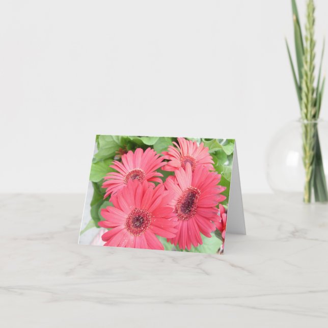 Daisy card karte (Vorderseite)