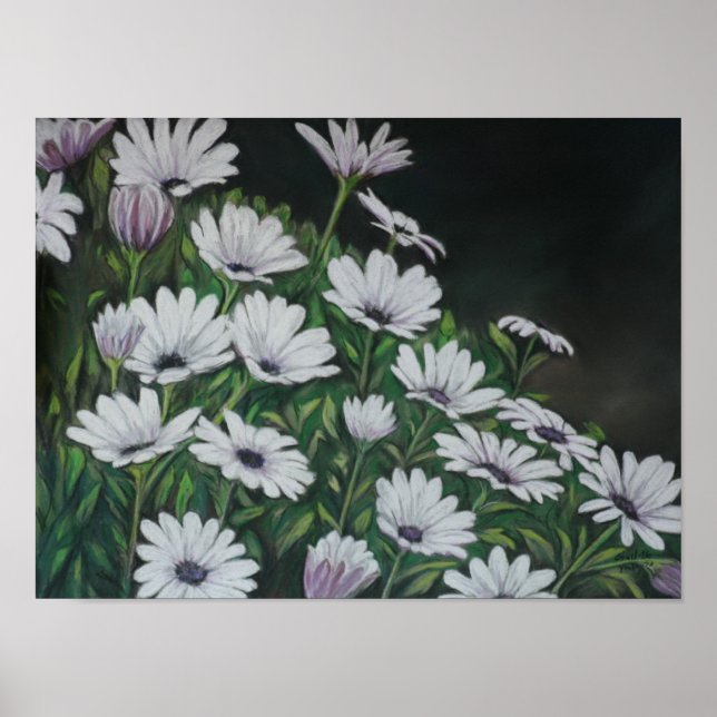 Daisy Chrysanthemum Art Print Poster (Vorne)