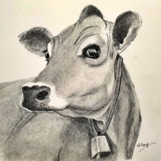 Daisy Cow Grüßkarte Karte