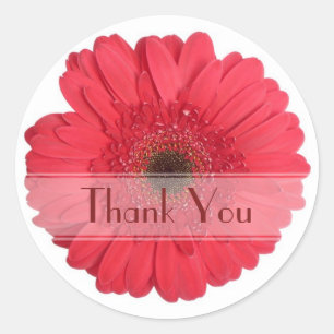 Daisy Custom Floral Sticker