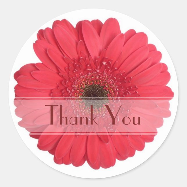 Daisy Custom Floral Sticker (Vorderseite)