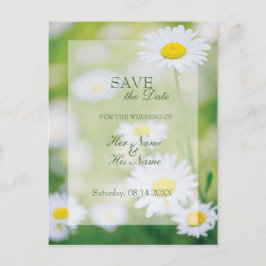 Daisy Daisies Blume Floral Summer Save the Date Ankündigungspostkarte