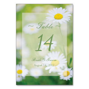 Daisy Daisies Blume Floral Summer Tischnummer