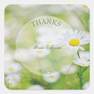 Daisy Daisies Blume Floral Summer Wedding Quadratischer Aufkleber