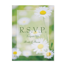 Daisy Daisies Blume Floral Summer Wedding RSVP