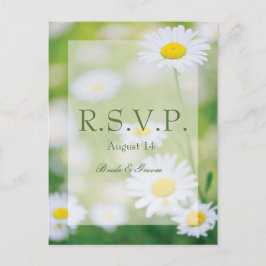 Daisy Daisies Blume Floral Summer Wedding RSVP Einladungspostkarte