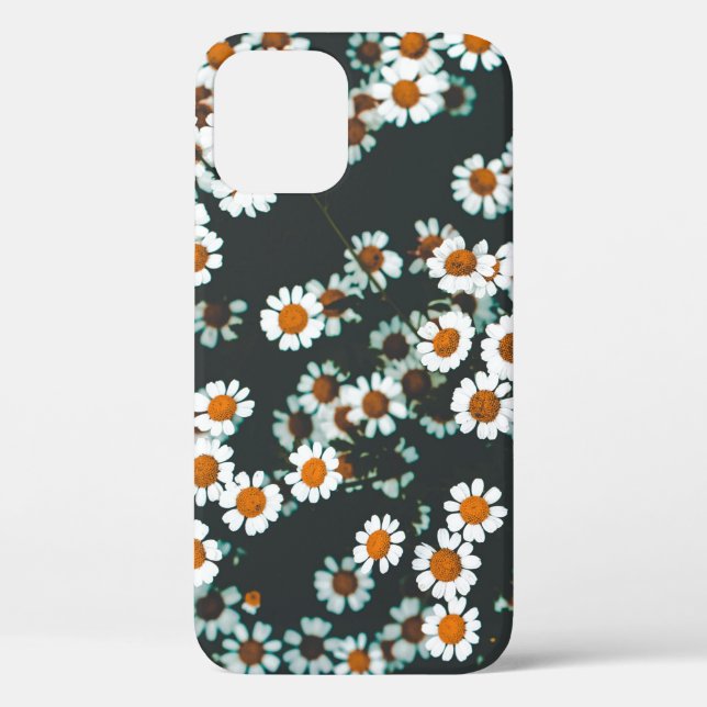 Daisy Daisies Floral Case-Mate iPhone Hülle (Rückseite)