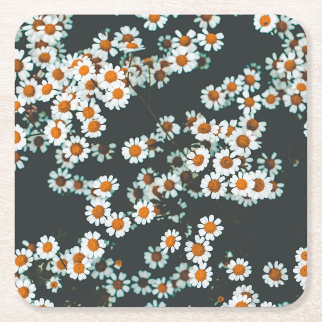 Daisy Daisies Floral Rechteckiger Pappuntersetzer (Vorderseite)