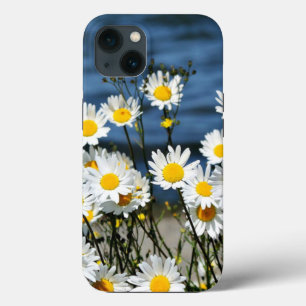 Daisy-Daisy, hübsche Wildblume gibt iPhone Case