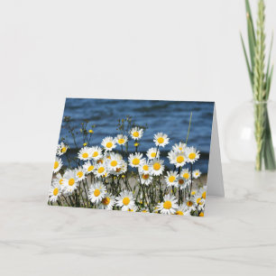 Daisy-Daisy Karte