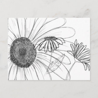 Daisy, Daisy Postkarte