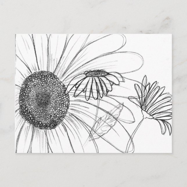 Daisy, Daisy Postkarte (Vorderseite)
