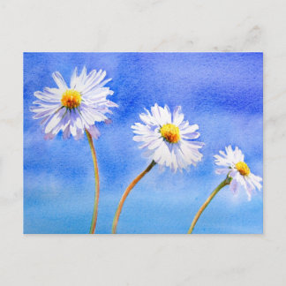 Daisy Daisy Postkarte