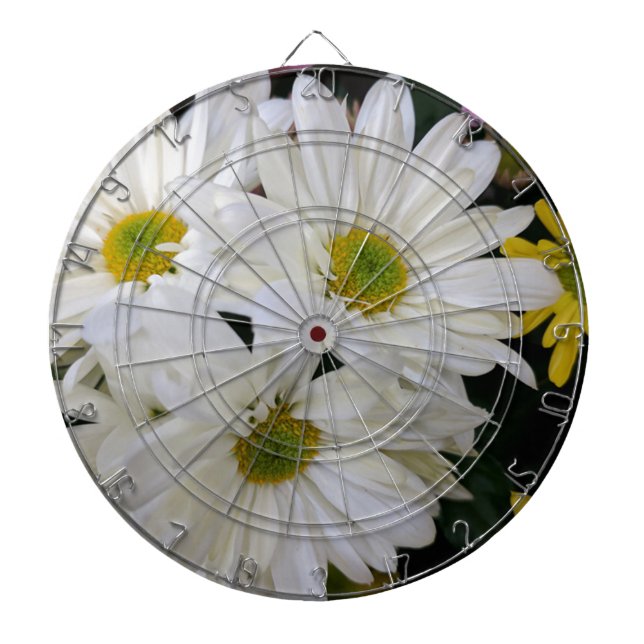 Daisy Dartscheibe (vorne)