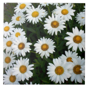 Daisy Decorative Tile Fliese