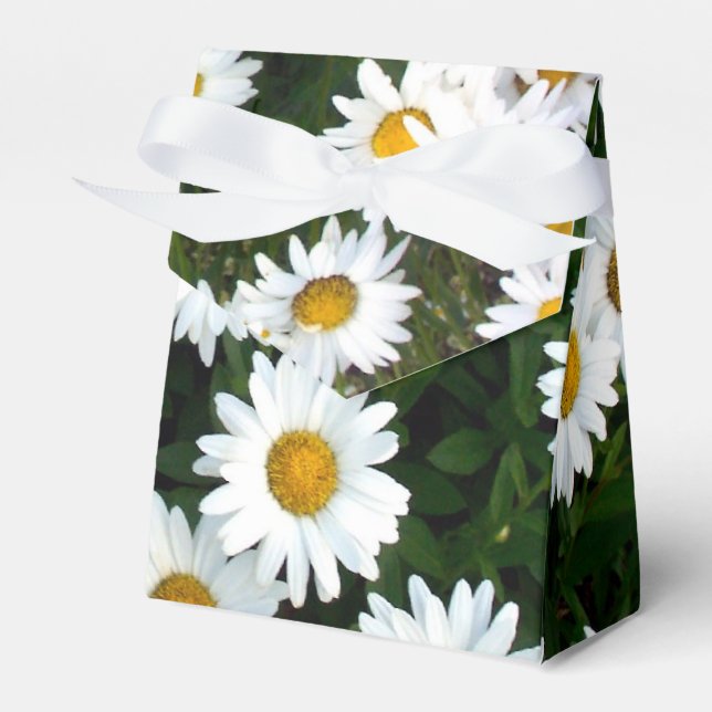 Daisy Delight Favor Box Geschenkschachtel (Vorderseite)