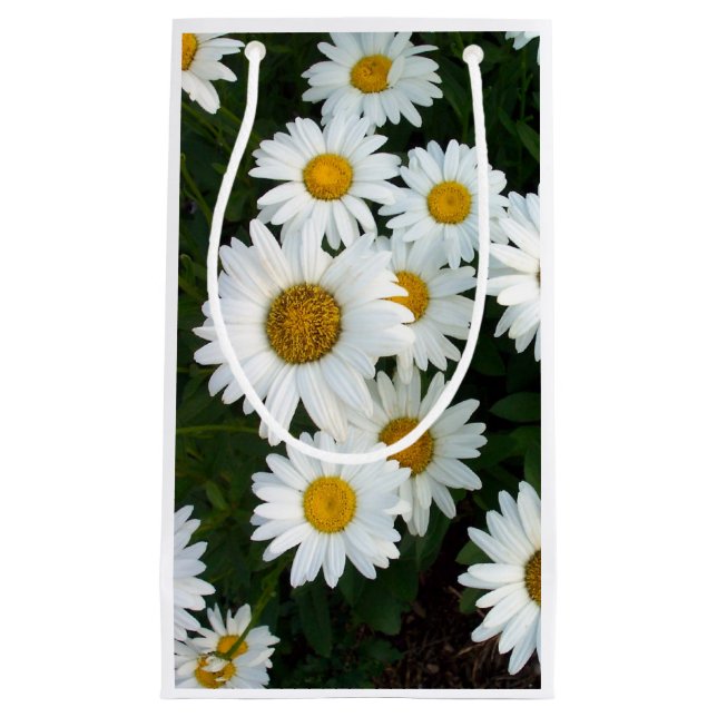 Daisy Delight Geschenktasche Kleine Geschenktüte (Vorderseite)