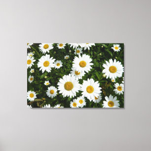 Daisy Delight Leinwanddruck