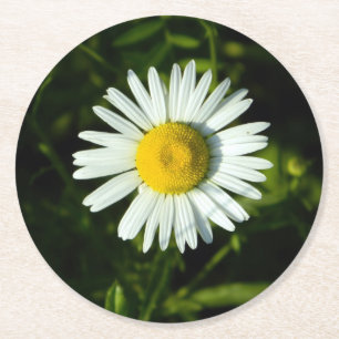 Daisy Delight Paper Untersetzer