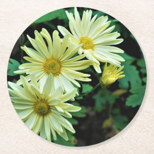 Daisy Delight Untersetzer