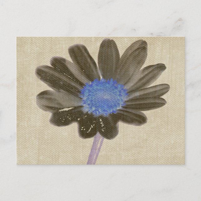 Daisy Digital Art Postcard Postkarte (Vorderseite)