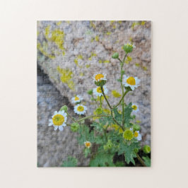 Daisy Dots of Delight Puzzle, 28 cm x 35,5 cm, 252 Puzzle
