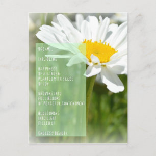 Daisy Dream Gedicht Inspiration Postkarte