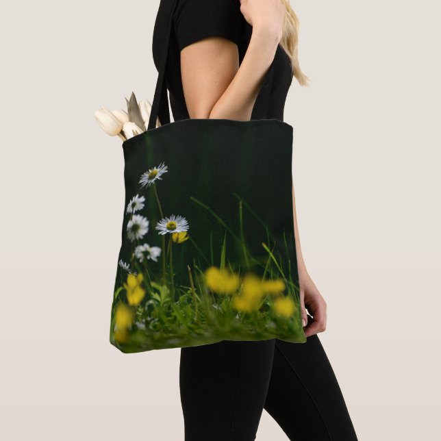 Daisy Dream: Schöne Blumenlandschaft (Von Nahem)