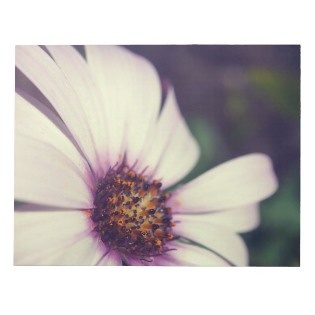 Daisy drucken. notizblock (Vorderseite)