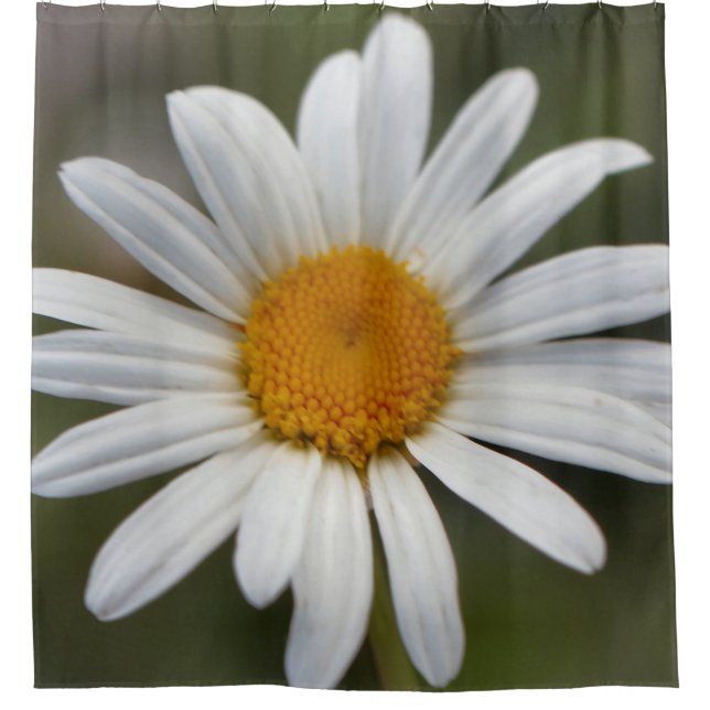 Daisy Dusche Duschvorhang (Vorderseite)