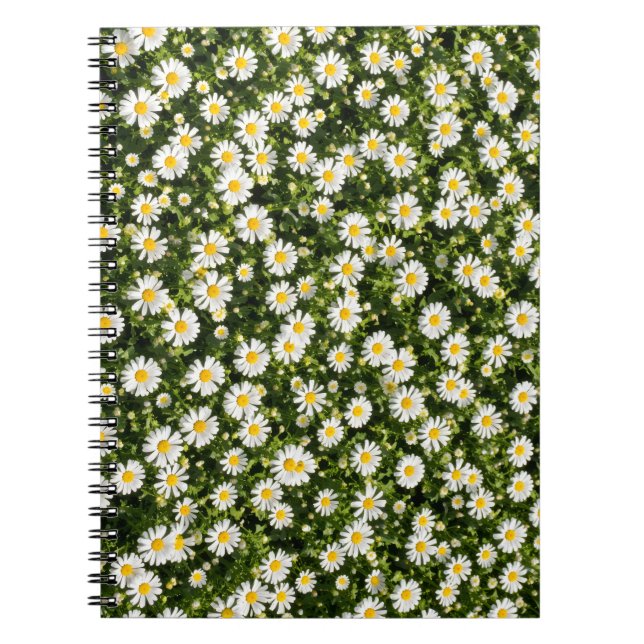 Daisy Field Spiral Notebook Notizblock (Vorderseite)
