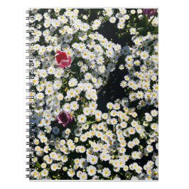 Daisy Field Spiral Notebook Notizblock