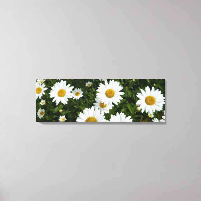 Daisy Field Wrapped Canvas Print Leinwanddruck (Vorderseite)