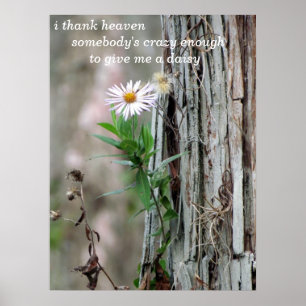 Daisy Foto Poster