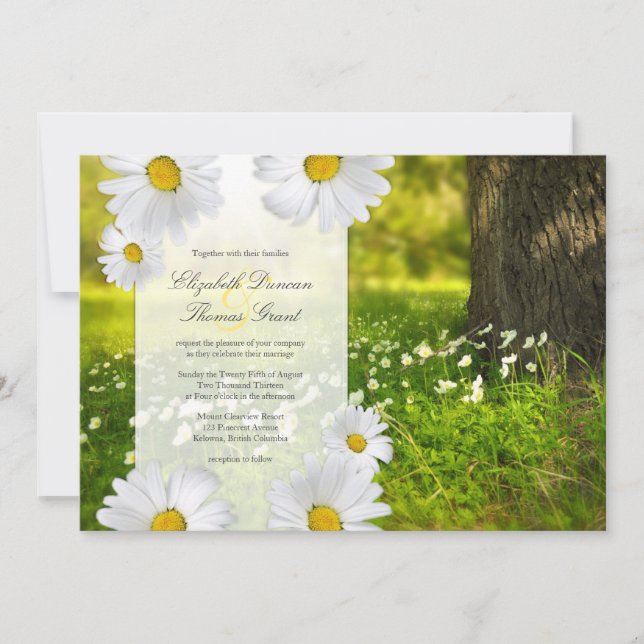 Daisy Frame mit Wiese Foto Hochzeitseinladung Einladung (Vorderseite)