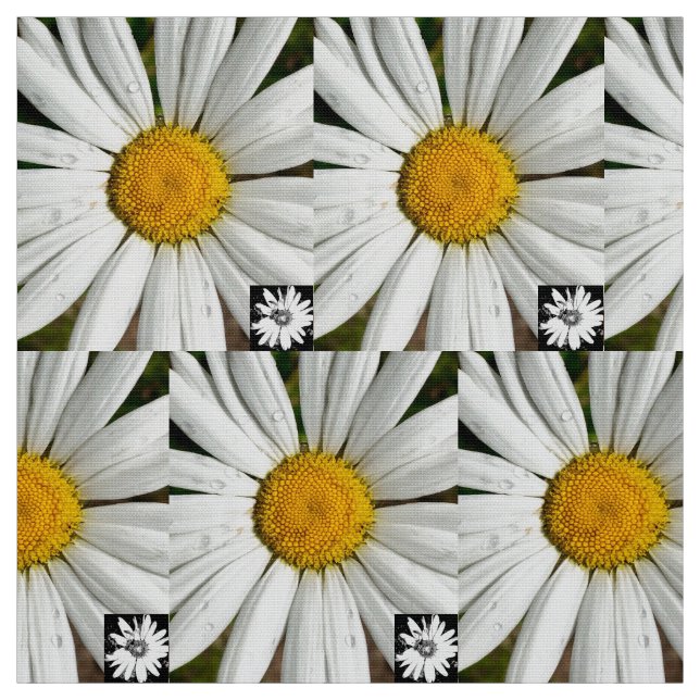 Daisy Fun Stoff (Muster)