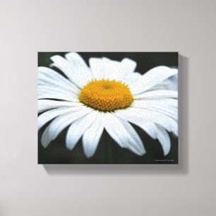 Daisy - Gefecht Leinwanddruck