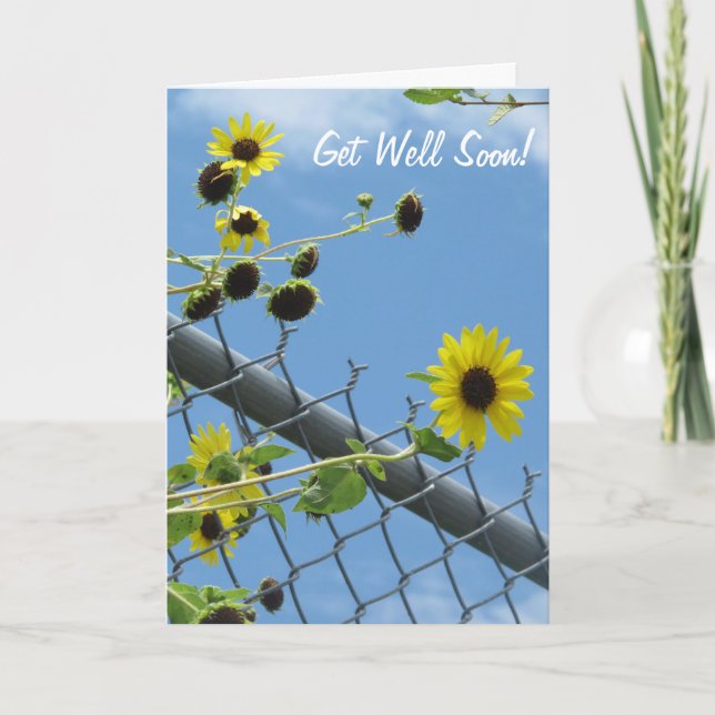 Daisy Get Well bald greeting Card Karte (Vorderseite)