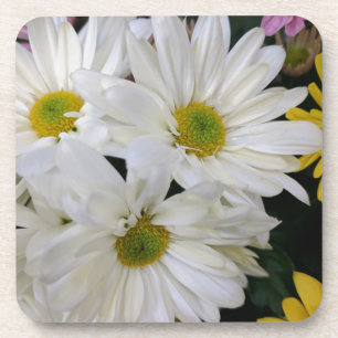 Daisy Getränkeuntersetzer