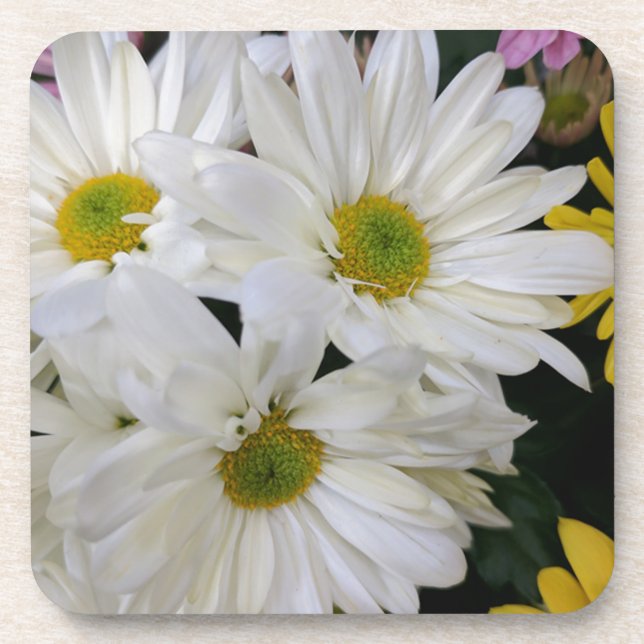 Daisy Getränkeuntersetzer (Vorderseite)