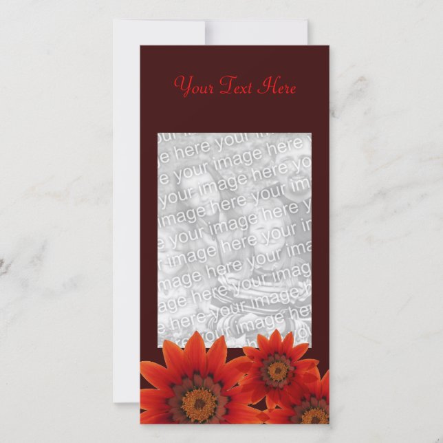 Daisy Greetings (Vorderseite)