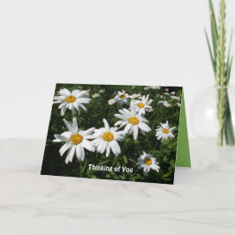 Daisy Happy Card Karte