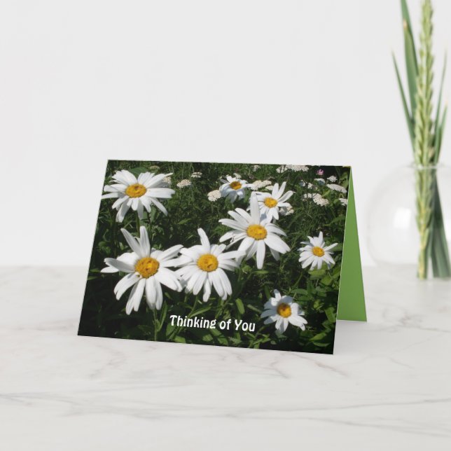 Daisy Happy Card Karte (Vorderseite)