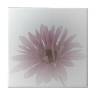 Daisy Haze Tile Fliese