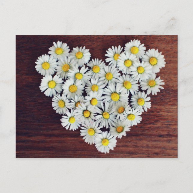 Daisy Heart of Daisies Liebe Card Postkarte (Vorderseite)